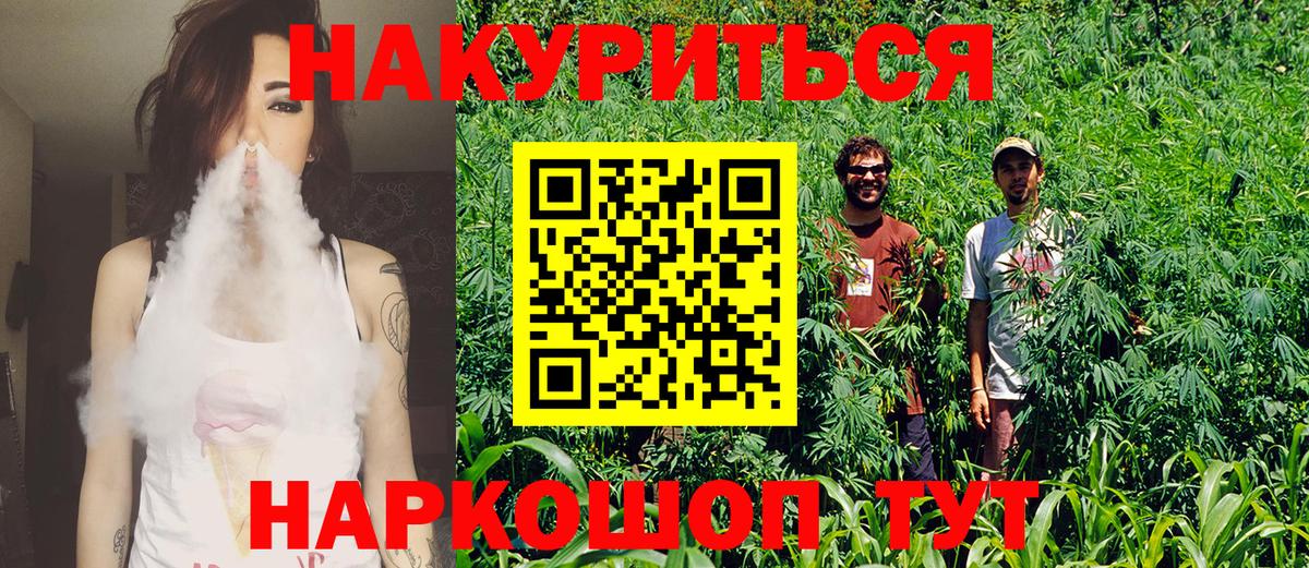 Конопля сатива  Вход с VPN  Краснознаменск  Конопля SATIVA & INDICA  Бошки Шишки THC 21% 